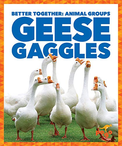 Geese Gaggles by Karen Latchana Kenney, 9781641288477