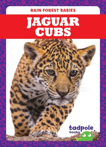 Jaguar Cubs - 9781645274896 by Genevieve Nilsen, Dana Fleming, 9781645274896