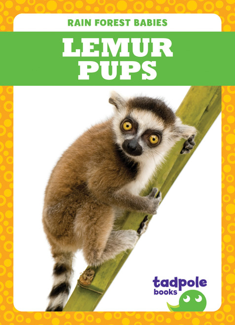 Lemur Pups by Genevieve Nilsen, 9781645274926