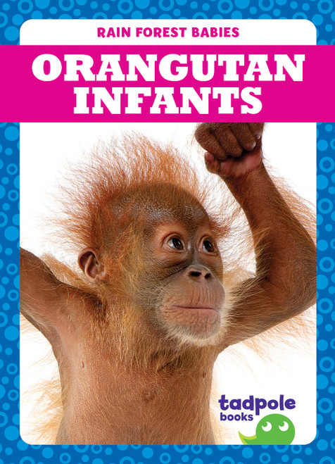 Orangutan Infants by Genevieve Nilsen, 9781645274957