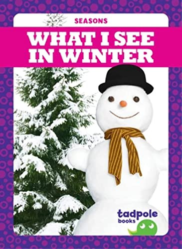 What I See in Winter by Danielle J. Jacks, Dana Fleming, 9781645275169