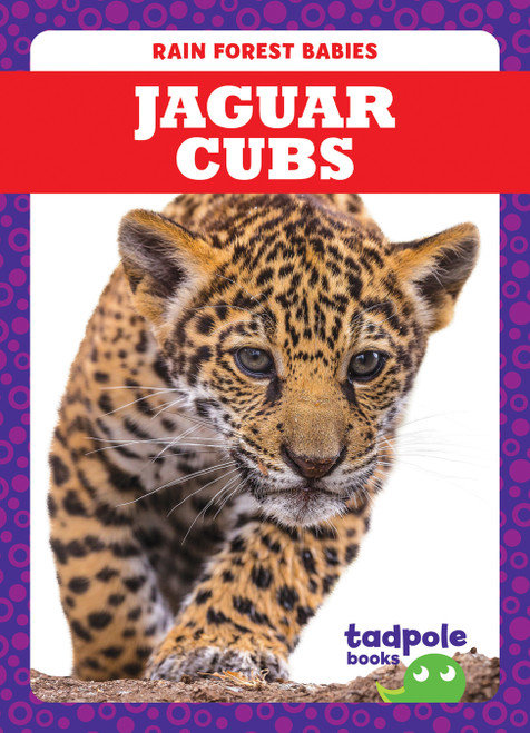 Jaguar Cubs - 9781645274902 by Genevieve Nilsen, 9781645274902