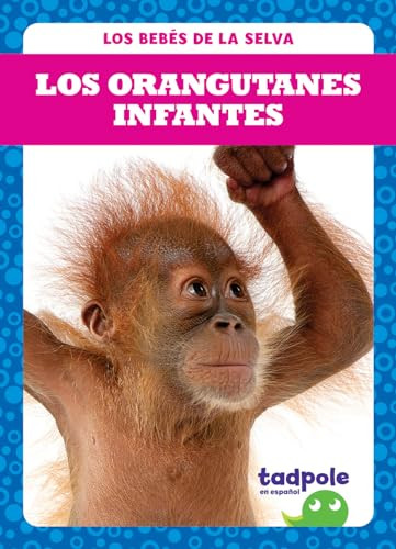 Los orangutanes infantes (Orangutan Infants) (Spanish Edition) - 9781645276623 by Genevieve Nilsen, 9781645276623