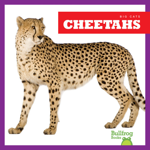 Cheetahs - 9781645277170 by Marie Brandle, 9781645277170