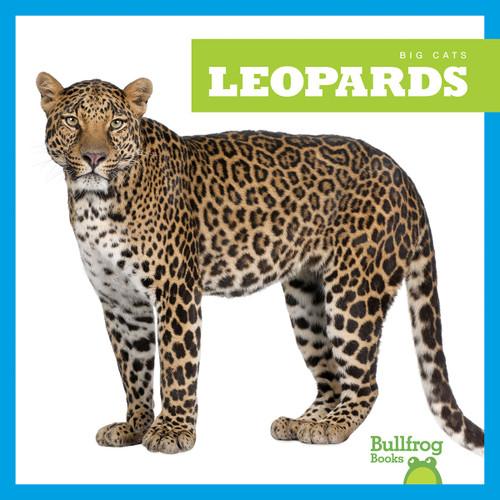 Leopards - 9781645277231 by Marie Brandle, 9781645277231