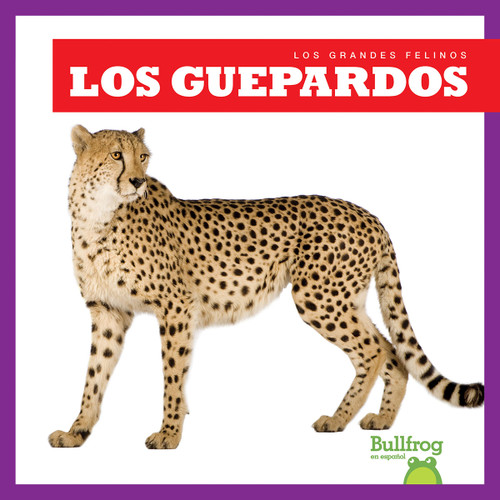 Los guepardos (Cheetahs) by Marie Brandle, 9781645278641