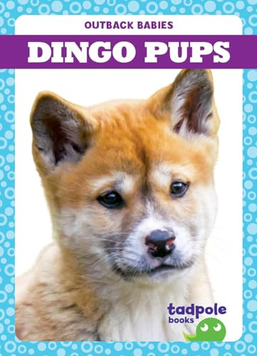 Dingo Pups - 9781645279419 by Genevieve Nilsen, 9781645279419