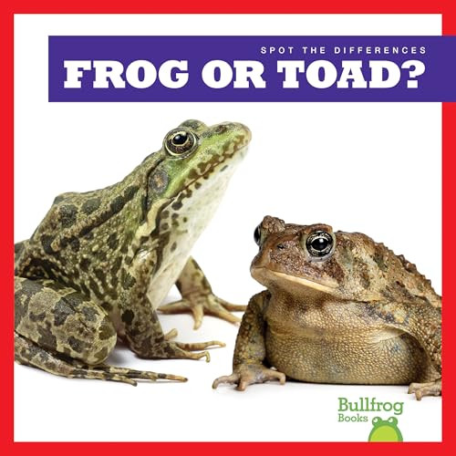 Frog or Toad? - 9781636903460 by Jamie Rice, 9781636903460