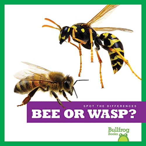 Bee or Wasp? - 9781636903385 by Adeline J. Zimmerman, 9781636903385