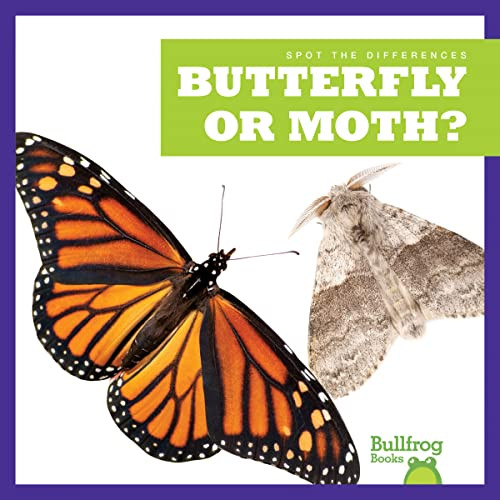 Butterfly or Moth? - 9781636903415 by Adeline J. Zimmerman, 9781636903415
