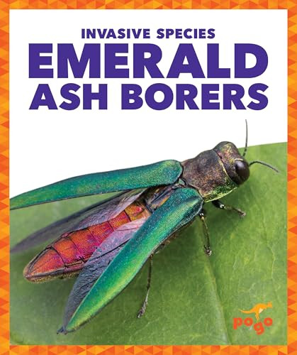 Emerald Ash Borers by Alicia Z. Klepeis, 9781636907925