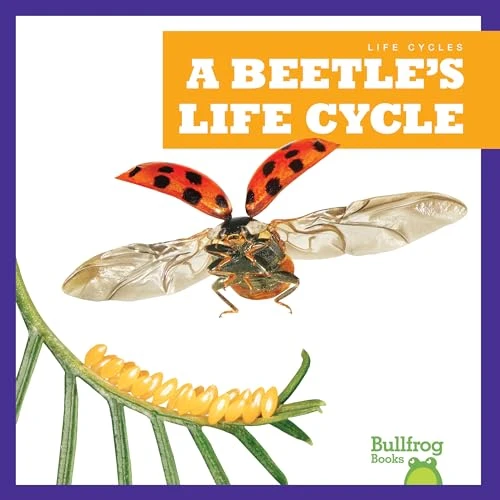 A Beetle's Life Cycle by Jamie Rice, 9781636908199