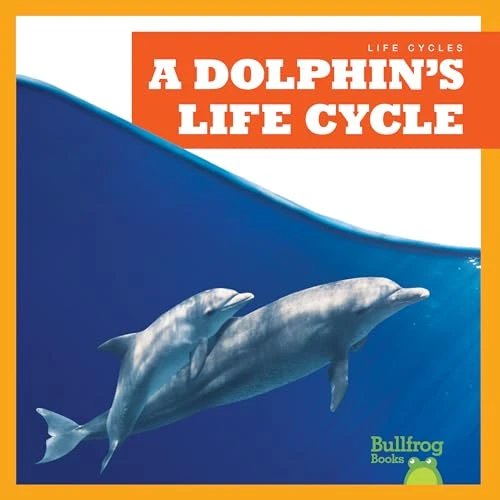 A Dolphin's Life Cycle by Jamie Rice, 9781636908311