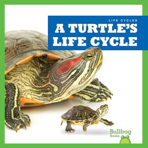 A Turtle's Life Cycle - 9781636908403 by Jamie Rice, 9781636908403
