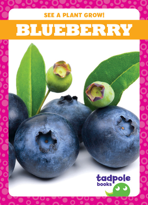 Blueberry by Charlie W. Sterling, 9781636906935
