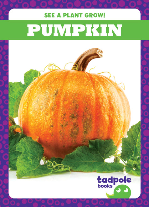Pumpkin - 9781636907024 by Charlie W. Sterling, 9781636907024