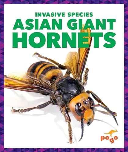 Asian Giant Hornets - 9781636907840 by Alicia Z. Klepeis, 9781636907840