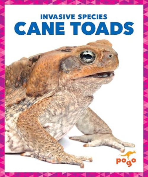 Cane Toads - 9781636907901 by Alicia Z. Klepeis