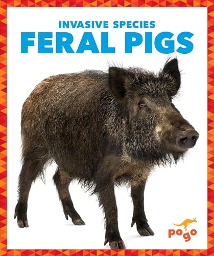 Feral Pigs - 9781636907963 by Alicia Z. Klepeis, 9781636907963