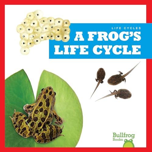 A Frog's Life Cycle - 9781636908359 by Jamie Rice, 9781636908359