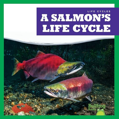 A Salmon's Life Cycle - 9781636908380 by Jamie Rice, 9781636908380