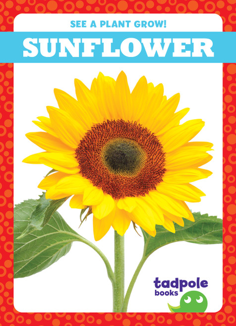Sunflower - 9781636907062 by Charlie W. Sterling, 9781636907062