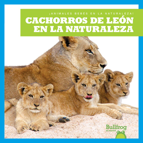 Cachorros de león en la naturaleza (Lion Cubs in the Wild) (Spanish Edition) by Marie Brandle, 9798885242189