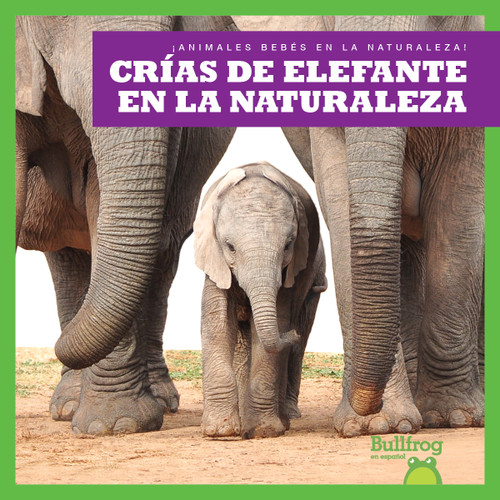 Crías de elefante en la naturaleza (Elephant Calves in the Wild) (Spanish Edition) by Marie Brandle, 9798885242240