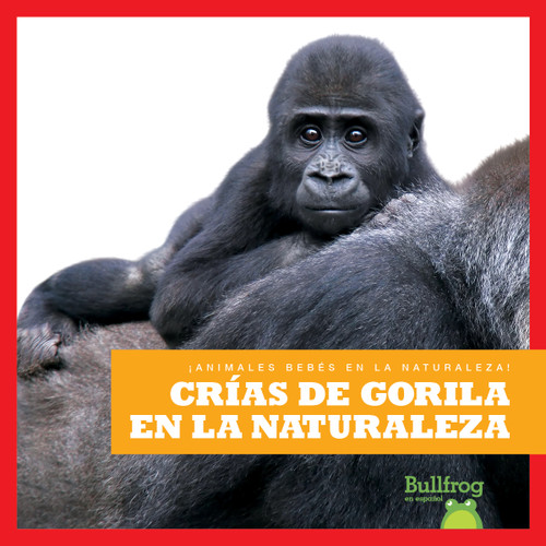 Crías de gorila en la naturaleza (Gorilla Infants in the Wild) (Spanish Edition) by Marie Brandle, 9798885242271