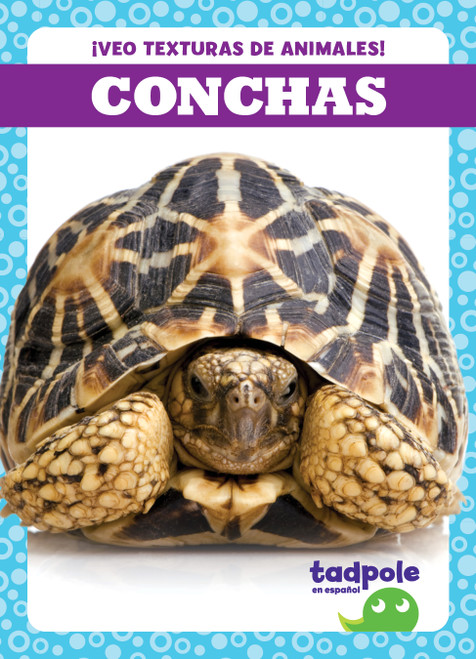 Conchas (Shells) (Spanish Edition) by Jenna Lee Gleisner, 9798885242424