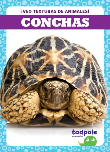 Conchas (Shells) (Spanish Edition) by Jenna Lee Gleisner, 9798885242424