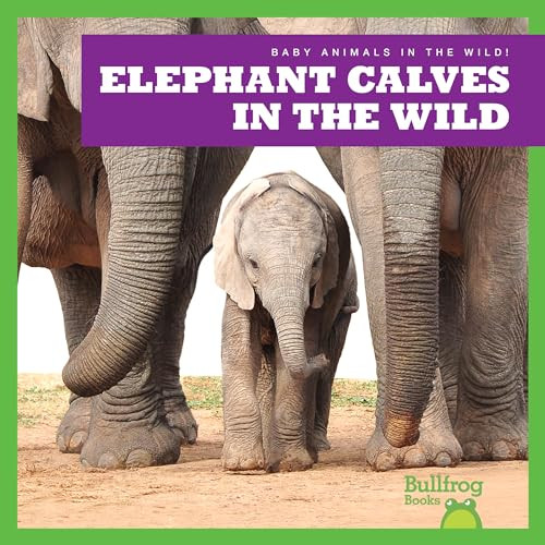 Elephant Calves in the Wild by Marie Brandle, 9798885240628