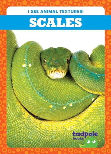 Scales - 9798885240444 by Jenna Lee Gleisner, 9798885240444