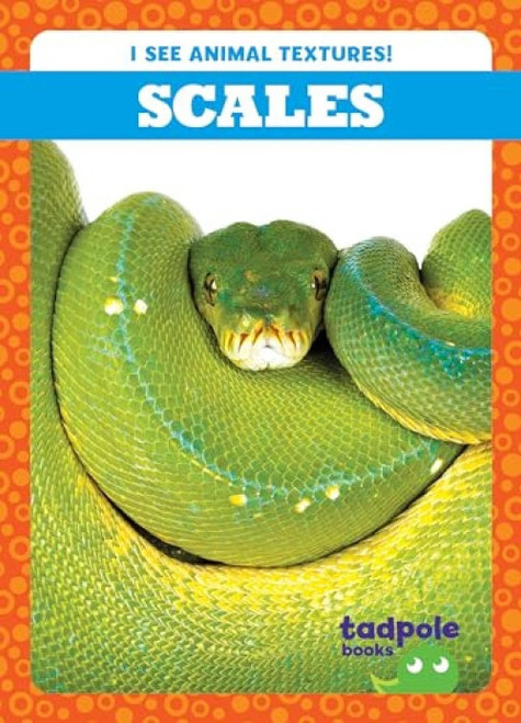 Scales - 9798885240444 by Jenna Lee Gleisner