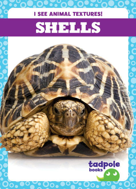 Shells - 9798885240475 by Jenna Lee Gleisner, 9798885240475