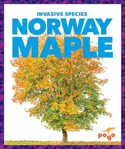 Norway Maple by Alicia Z. Klepeis, 9798885241137