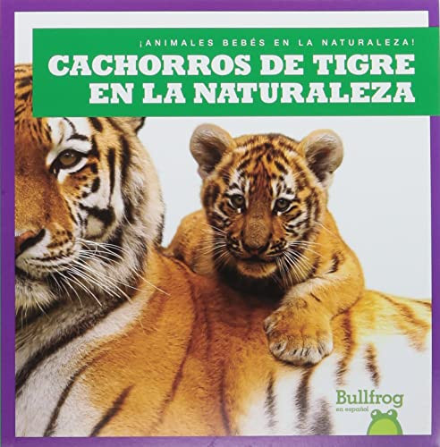 Cachorros de tigre en la naturaleza (Tiger Cubs in the Wild) (Spanish Edition) - 9798885242226 by Marie Brandle, 9798885242226