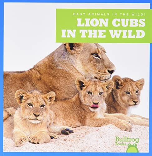 Lion Cubs in the Wild - 9798885240758 by Marie Brandle, 9798885240758