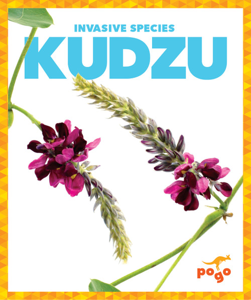 Kudzu - 9798885241113 by Alicia Z. Klepeis, 9798885241113