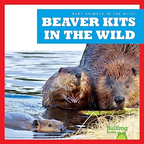 Beaver Kits in the Wild by Katie Chanez, 9798885244039