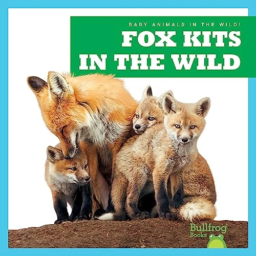 Fox Kits in the Wild by Katie Chanez, 9798885244060