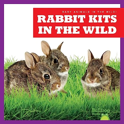 Rabbit Kits in the Wild by Katie Chanez, 9798885244091