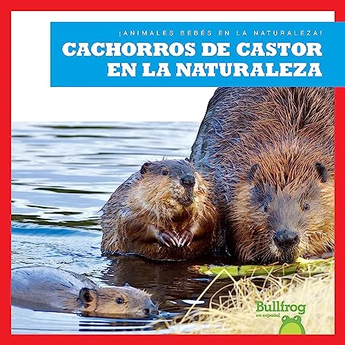 Cachorros de castor en la naturaleza (Beaver Kits in the Wild) (Spanish Edition) by Katie Chanez, 9798885248419