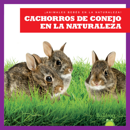 Cachorros de conejo en la naturaleza (Rabbit Kits in the Wild) (Spanish Edition) by Katie Chanez, N/A, 9798885248440