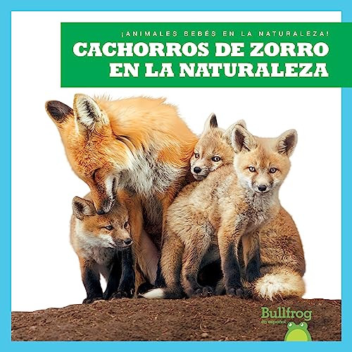 Cachorros de zorro en la naturaleza (Fox Kits in the Wild) (Spanish Edition) by Katie Chanez, 9798885248532