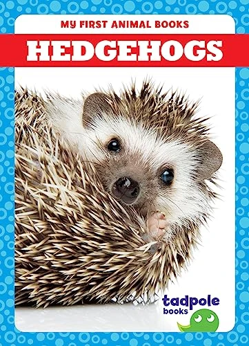 Hedgehogs - 9798885246613 by Marie Brandle, 9798885246613