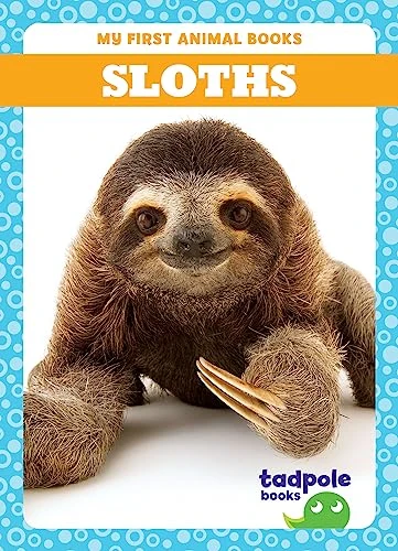Sloths - 9798885246828 by Marie Brandle, 9798885246828