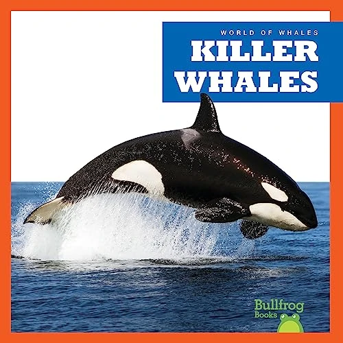 Killer Whales by Katie Chanez, 9798885245982