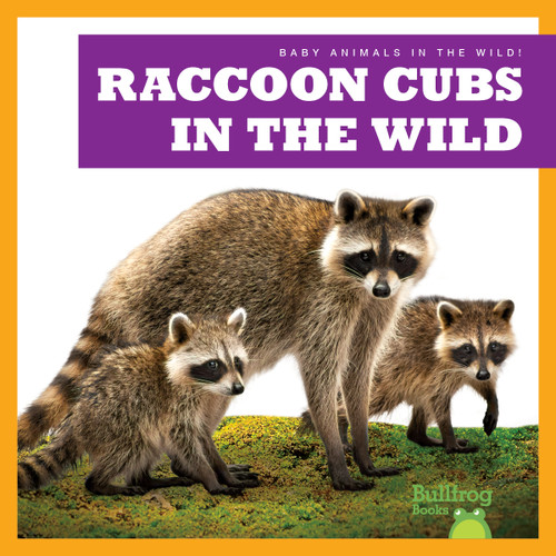 Raccoon Cubs in the Wild - 9798885244138 by Katie Chanez, N/A, 9798885244138