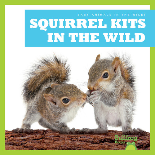 Squirrel Kits in the Wild - 9798885244190 by Katie Chanez, N/A, 9798885244190